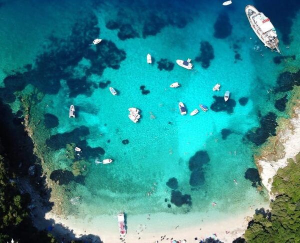 Sun and Sea Retreat: Full-Day Tour With Swimming and Lunch - Customer Reviews and Feedback
