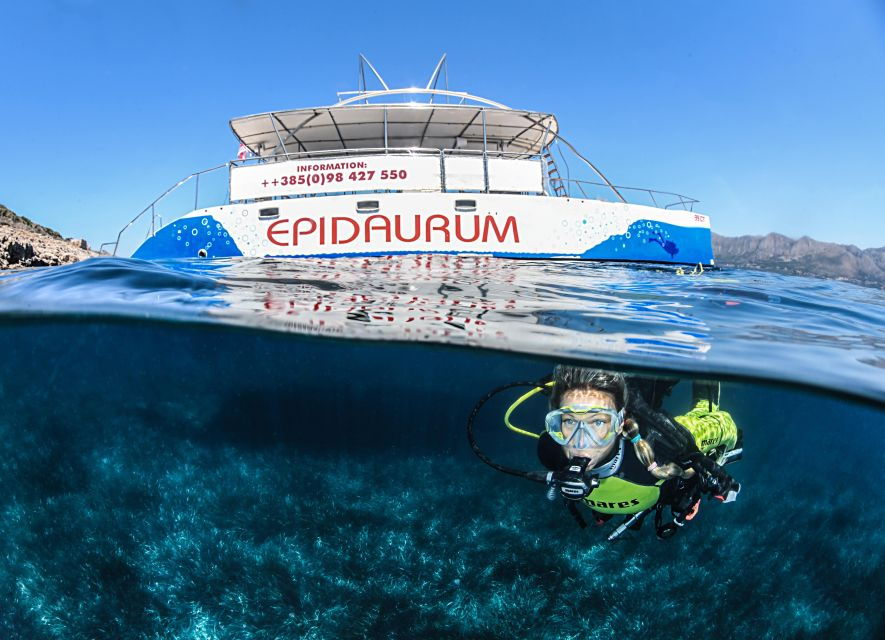 Discovery Dive – 2 Hour Uncertified Diver Introductory Dive