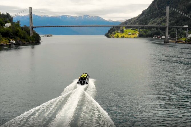 Hardangerfjord Fast Boat Tour From Øystese  – Western Norway
