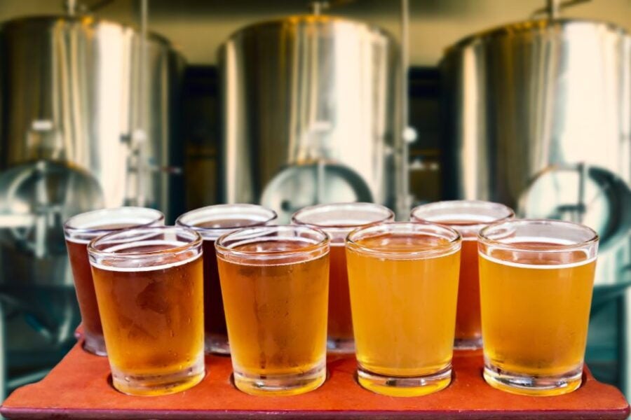 Best Drinking Tours In Torun