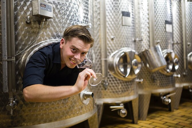 Wine Tasting in the Winery in Kröv